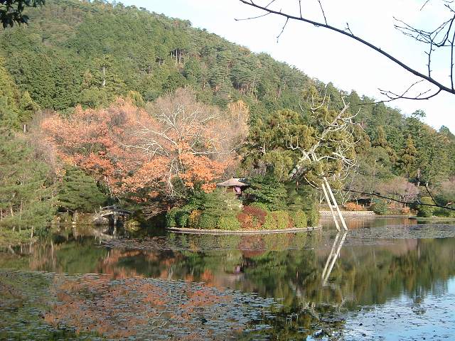 世界遺産・名勝・竜安寺（龍安寺）・庭園の写真の写真