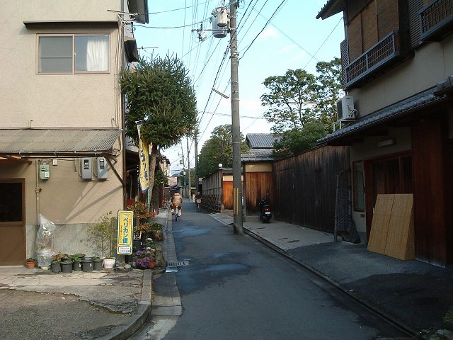 京都・表千家と裏千家が並ぶ通りの写真の写真