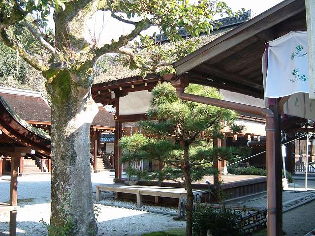 世界遺産・京都・賀茂御祖神社（下鴨神社）摂社三井神社拝殿の写真の写真