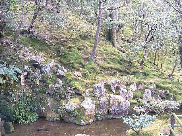 世界遺産・特別史跡・特別名勝・京都・銀閣寺・庭園・苔に覆われている斜面の写真の写真