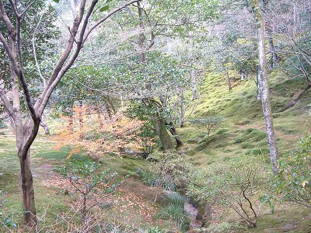 世界遺産・特別史跡・特別名勝・京都・銀閣寺・庭園には小川が流れるの写真の写真