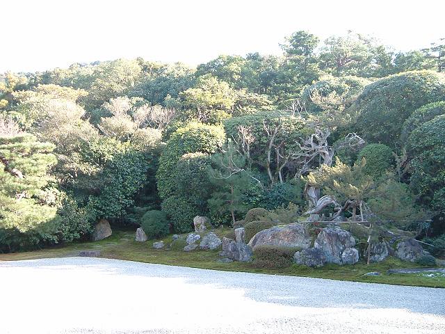 特別名勝・京都・金地院・庭園・亀石の写真の写真