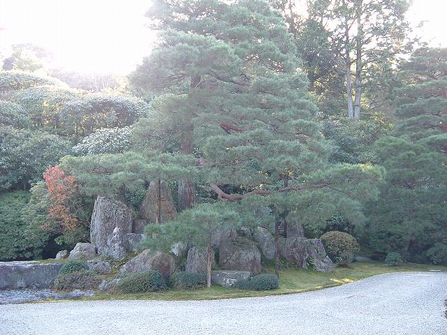 特別名勝・京都・金地院・庭園・鶴石の写真の写真