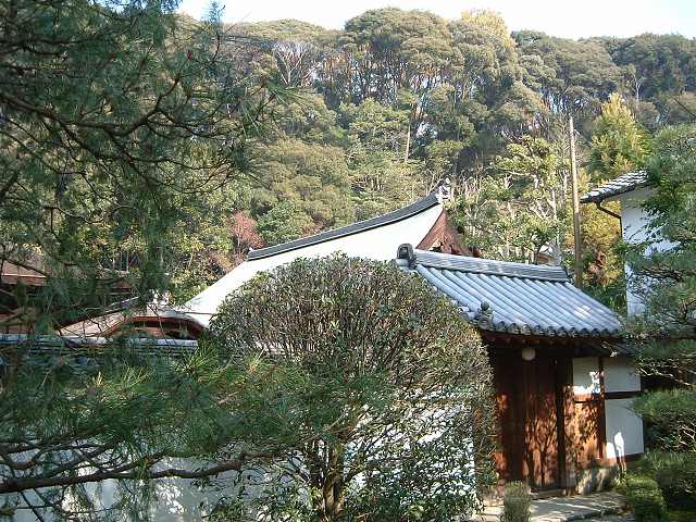 重要文化財・竜吟庵庫裏の写真の写真