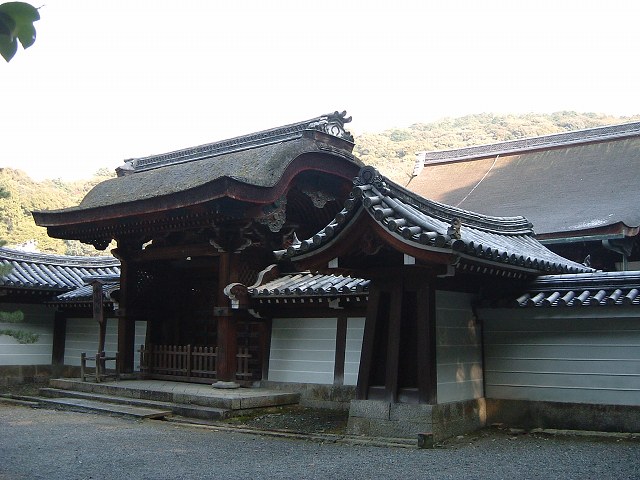 京都・泉涌寺２の写真の写真