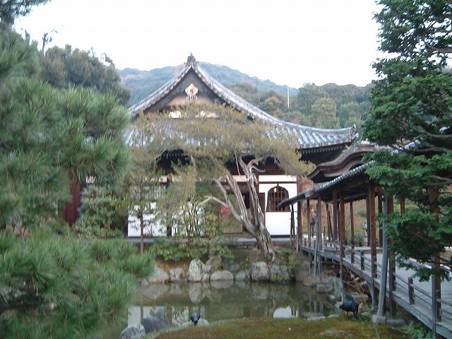 京都・高台寺・庭園１の写真の写真