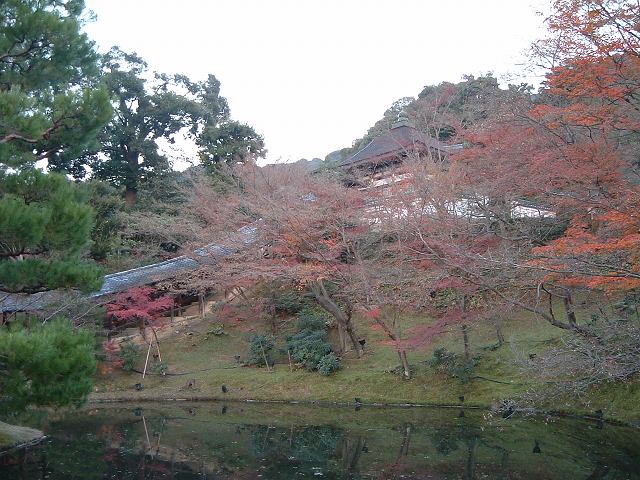 京都・高台寺・庭園３の写真の写真