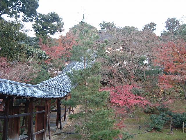京都・高台寺・庭園４の写真の写真