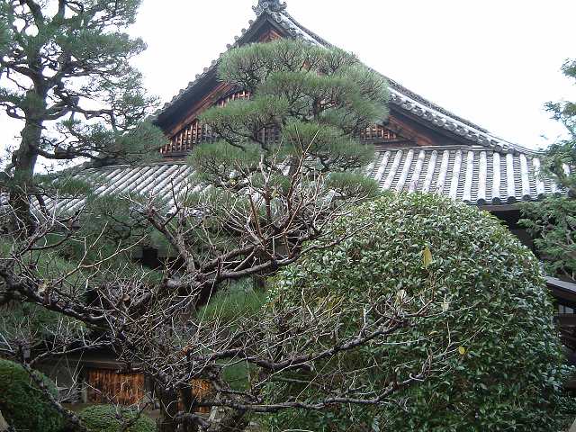 重要文化財・知恩院小庫裏の写真の写真