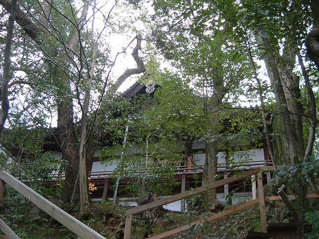 京都・知恩院勢至堂の写真の写真