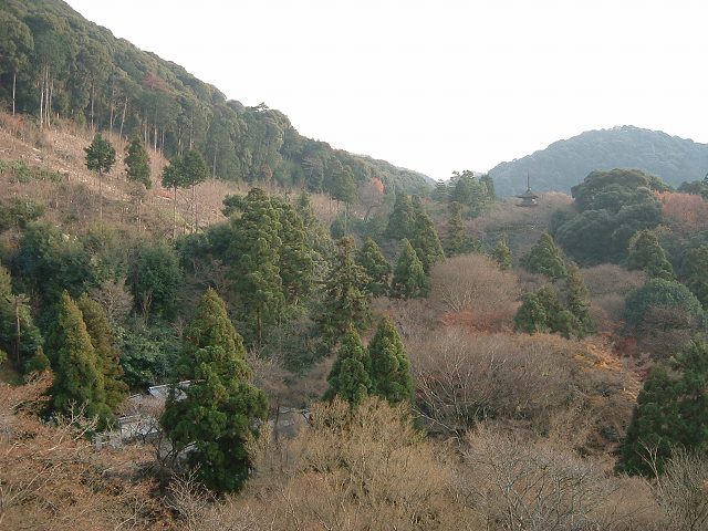 世界遺産・京都・清水寺２の写真の写真