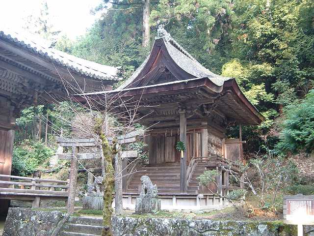 重要文化財・円教寺護法堂若天社の写真の写真