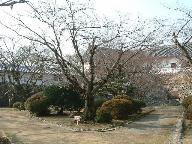 世界遺産・特別史跡・姫路城・千姫のために作られた西の丸の写真の写真