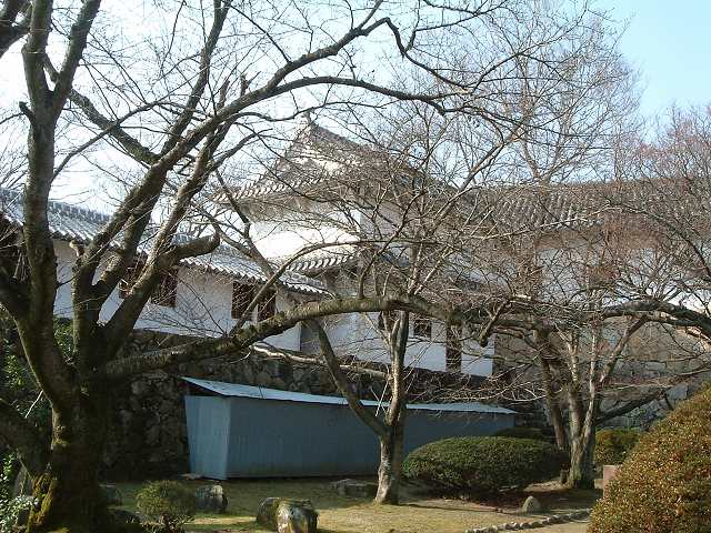 世界遺産・特別史跡・姫路城・冬だから桜には葉がないのでルの櫓がよく写るの写真の写真