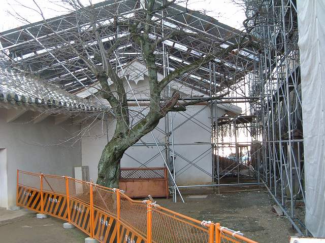 世界遺産・特別史跡・姫路城ハの渡櫓の写真の写真