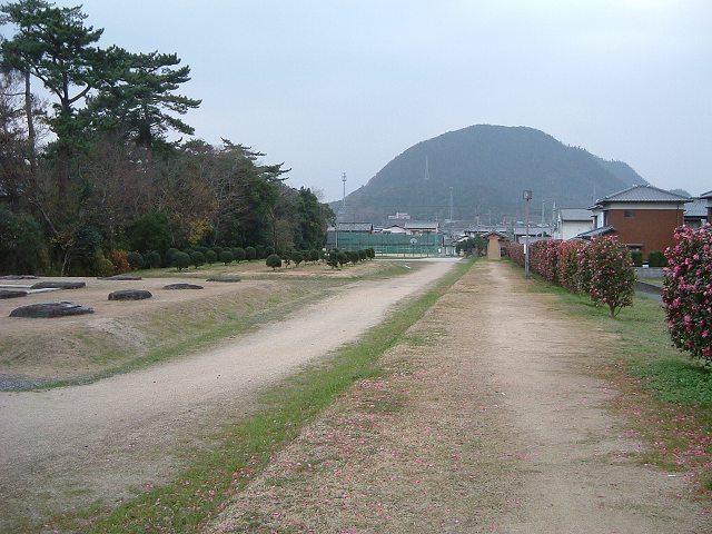 特別史跡・讃岐国分寺・僧坊跡と掘立柱建物跡と築地塀跡の写真の写真