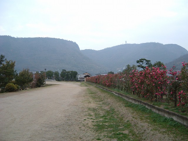 特別史跡・讃岐国分寺・築地塀跡の写真の写真