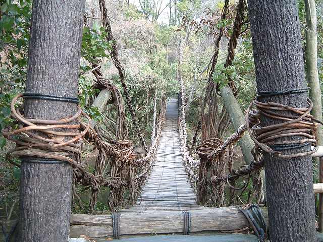 屋島・四国村・かずら橋の写真の写真