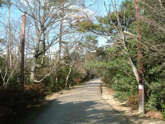 屋島・屋島山・屋島寺参道の写真の写真