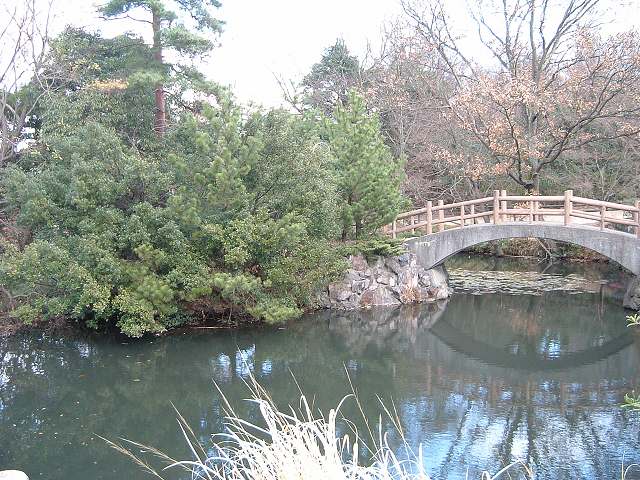 屋島・屋島山・屋島寺血の池 (瑠璃宝池)の写真の写真
