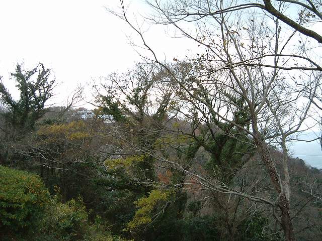 屋島・屋島山南嶺の写真の写真