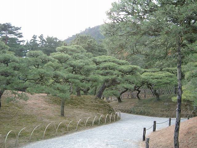 高松・特別名勝・栗林公園・庭園２の写真の写真