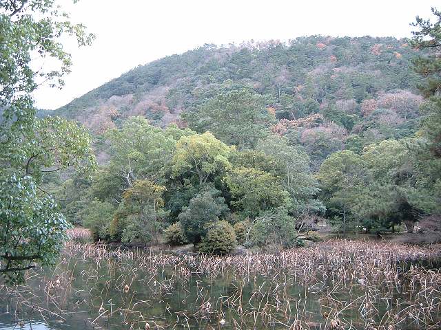 高松・特別名勝・栗林公園・庭園２６の写真の写真