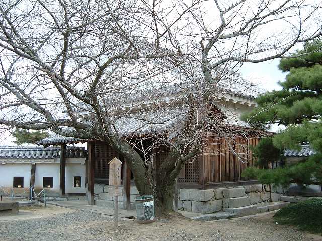 松山・松山城・天守曲輪に建つ天神櫓の写真の写真