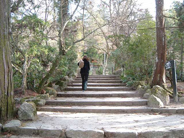 世界遺産・宮島・弥山・登山道入り口の階段の写真の写真
