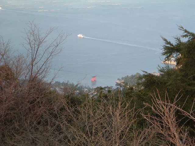 世界遺産・宮島・弥山・山頂から見る厳島神社大鳥居の写真の写真