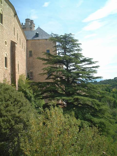 世界遺産・セゴビア・アルカサスの写真の写真