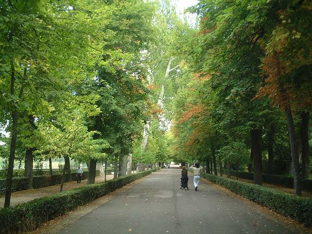 世界遺産・アランフェスの写真の写真