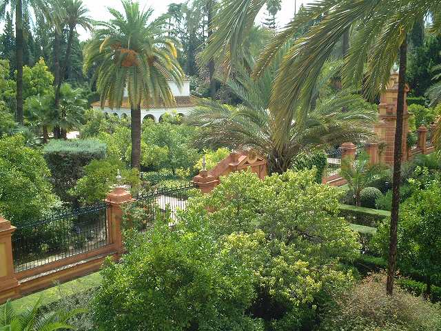 世界遺産・セビリアの写真の写真