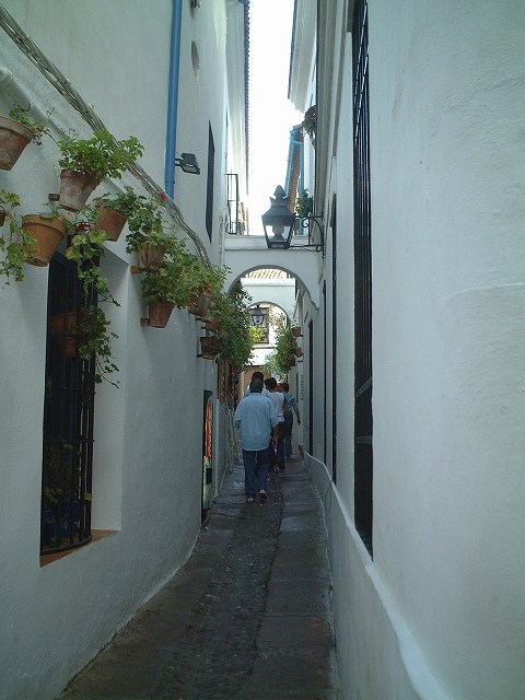 世界遺産・コルドバ・ユダヤ人街の写真の写真