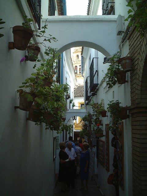 世界遺産・コルドバ・ユダヤ人街の写真の写真