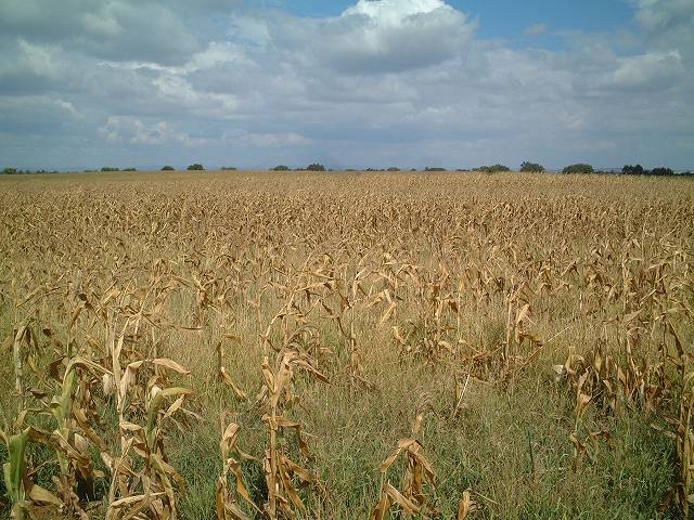 メリダからリスボンへ行くバスの車窓の写真の写真