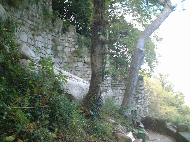 世界遺産・シントラ・ムーアの城跡の写真の写真