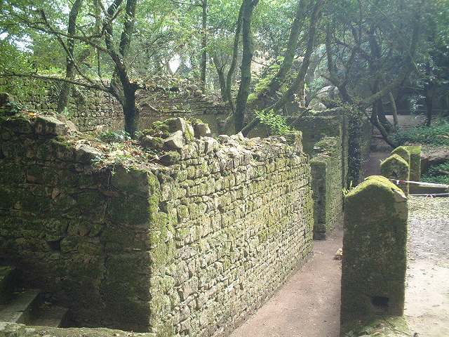 世界遺産・シントラ・ムーアの城跡の写真の写真