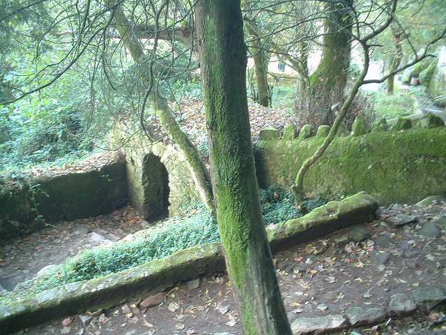 世界遺産・シントラ・ムーアの城跡の写真の写真
