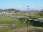 特別史跡・平泉・柳之御所跡・建物の遺構をあらわす花