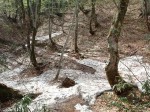 世界遺産・白神山地・登山道に雪が積もる