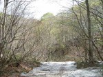 世界遺産・白神山地・雪が残るのでこれ以上進めない