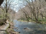 特別名勝・天然記念物・奥入瀬渓流・約14km・3時間の散策もあと少し