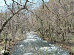 特別名勝・天然記念物・奥入瀬渓流・子ノ口の水門付近の川の流れ