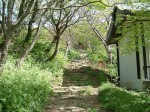 男鹿・赤神神社の参道