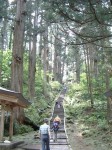 特別天然記念物・羽黒山・出羽三山神社・羽黒山のスギ並木・階段がずっと続く