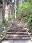 特別天然記念物・羽黒山・出羽三山神社・羽黒山のスギ並木・1.7kmで計2446段ある階段