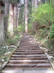 特別天然記念物・羽黒山・出羽三山神社・羽黒山のスギ並木・1.7kmで計2446段ある階段