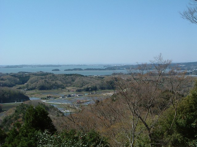 特別名勝・松島・麗観・富山・田んぼが見えるの写真の写真