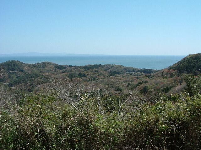 特別名勝・松島・壮観・大高森・森の向こうに見える石巻湾の写真の写真